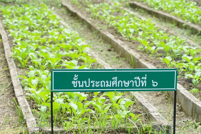 คำบรรยายภาพ