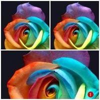 ��ԡ���ʹ��Ҿ����˭���