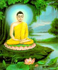 ��ԡ���ʹ��Ҿ����˭���