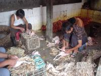 ��ԡ���ʹ��Ҿ����˭���